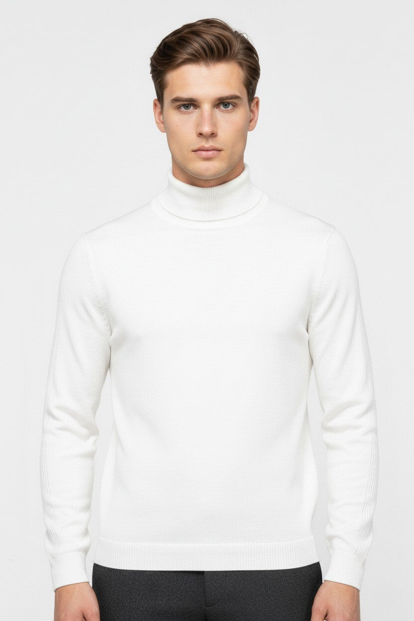 Caurelle | Men’s Autumn & Winter Solid Turtleneck Pullover Jumper