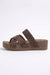 Coffee Brown